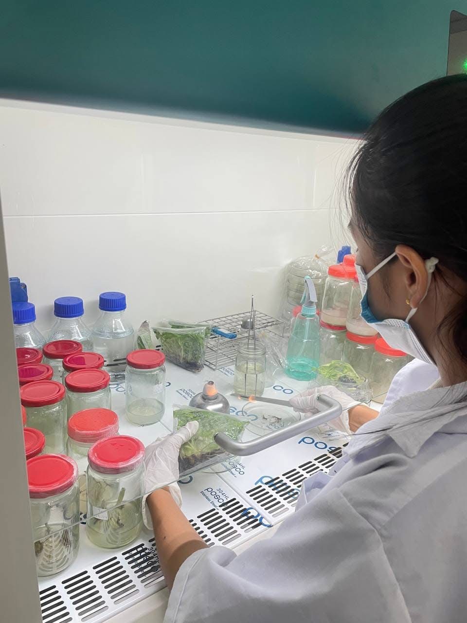 Research Lab