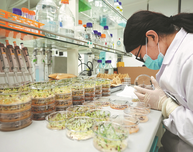 Research Lab